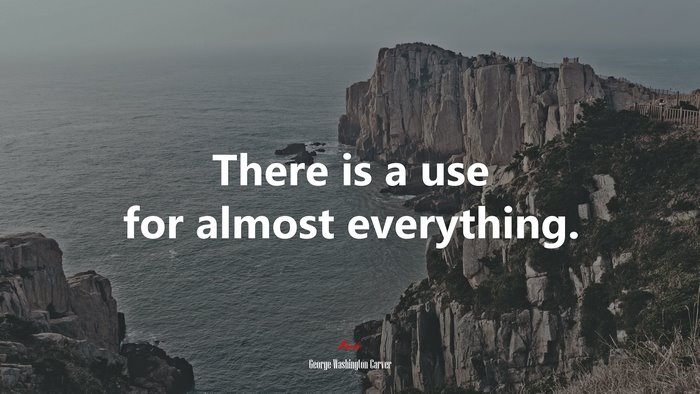 There is a use for almost everything. | George Washington Carver quote