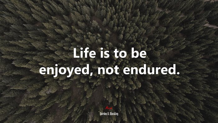 Life is to be enjoyed, not endured. | Gordon B. Hinckley quote