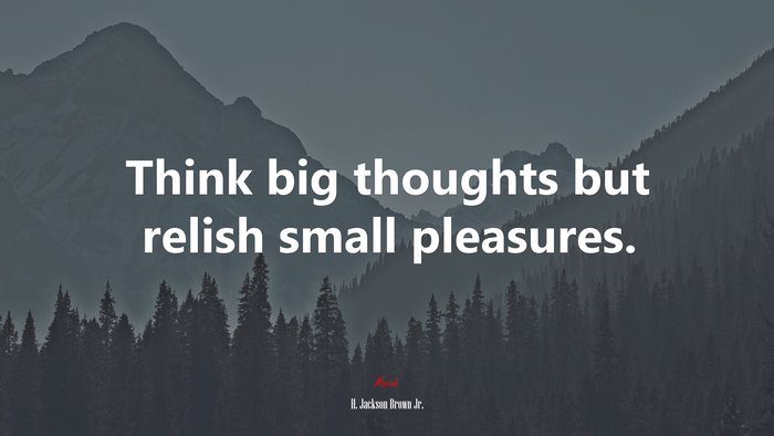 Think big thoughts but relish small pleasures. | H. Jackson Brown Jr. quote