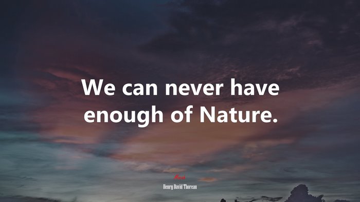 We can never have enough of Nature. | Henry David Thoreau quote