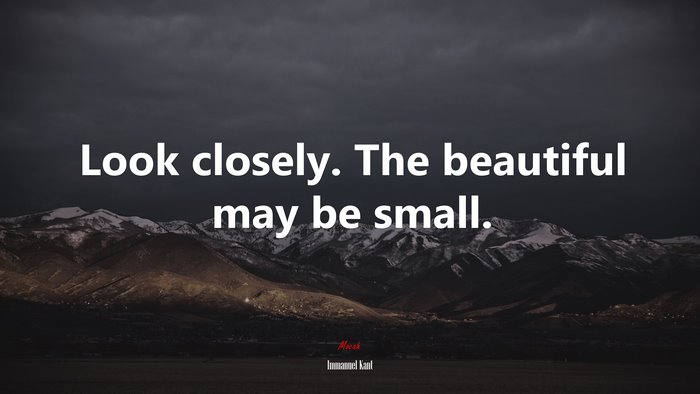 Look closely. The beautiful may be small. | Immanuel Kant quote