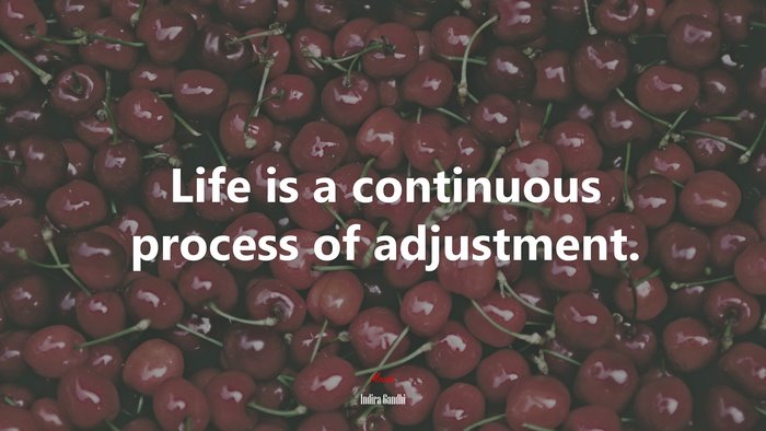 Life is a continuous process of adjustment. | Indira Gandhi quote
