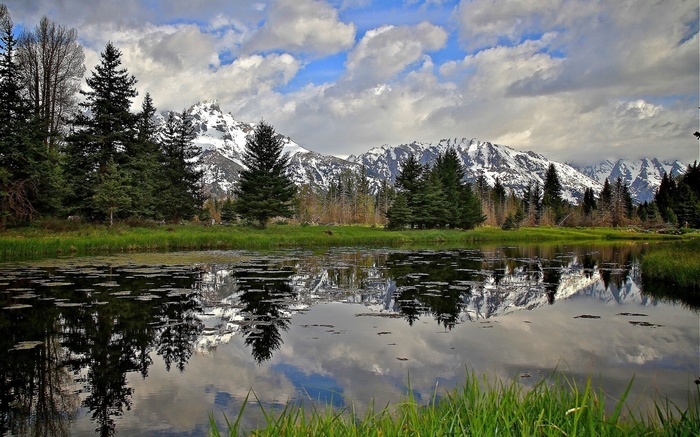Mountain range reflected in a calm lake with trees