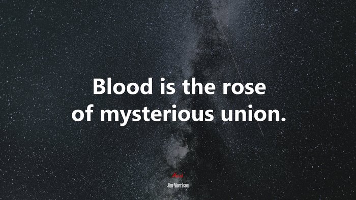 Blood is the rose of mysterious union. | Jim Morrison quote