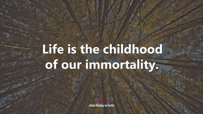 Life is the childhood of our immortality. | Johann Wolfgang von Goethe quote