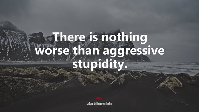 There is nothing worse than aggressive stupidity. | Johann Wolfgang von Goethe quote