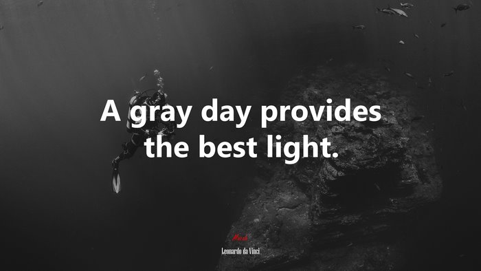 A gray day provides the best light. | Leonardo da Vinci quote