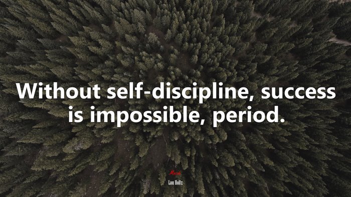 Without self-discipline, success is impossible, period. | Lou Holtz quote