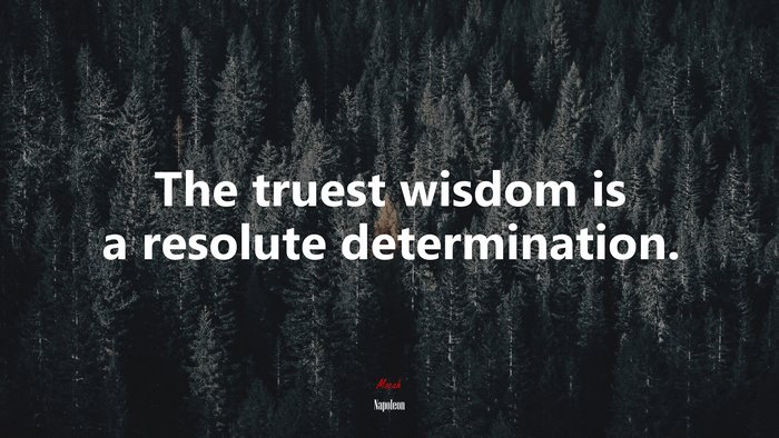 The truest wisdom is a resolute determination. | Napoleon quote
