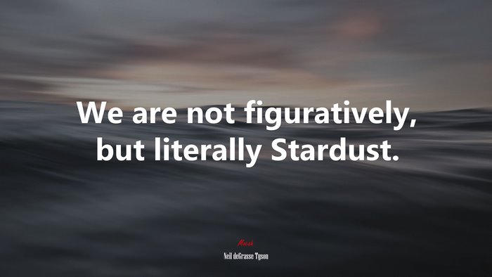 We are not figuratively, but literally Stardust. | Neil deGrasse Tyson quote