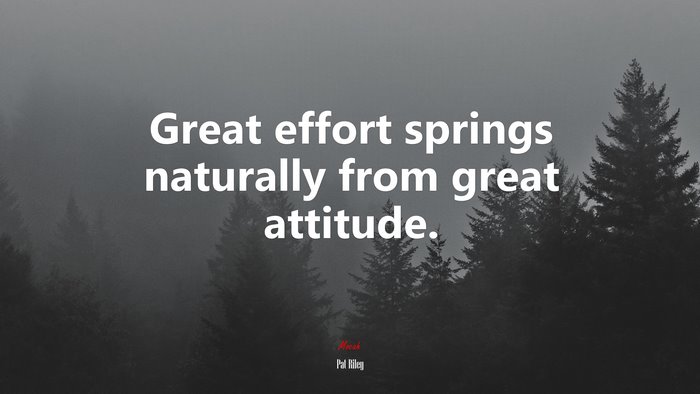 Great effort springs naturally from great attitude. | Pat Riley quote