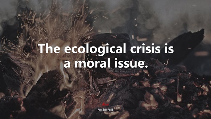 The ecological crisis is a moral issue. | Pope John Paul II quote