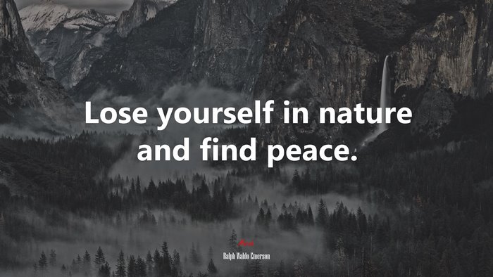 Lose yourself in nature and find peace. | Ralph Waldo Emerson quote