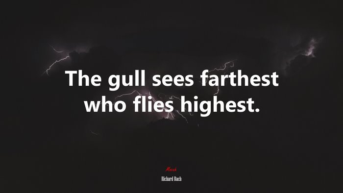 The gull sees farthest who flies highest. | Richard Bach quote