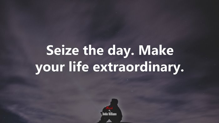Seize the day. Make your life extraordinary. | Robin Williams quote