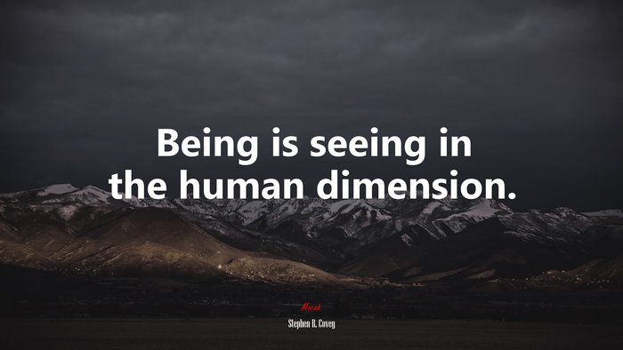Being is seeing in the human dimension. | Stephen R. Covey quote