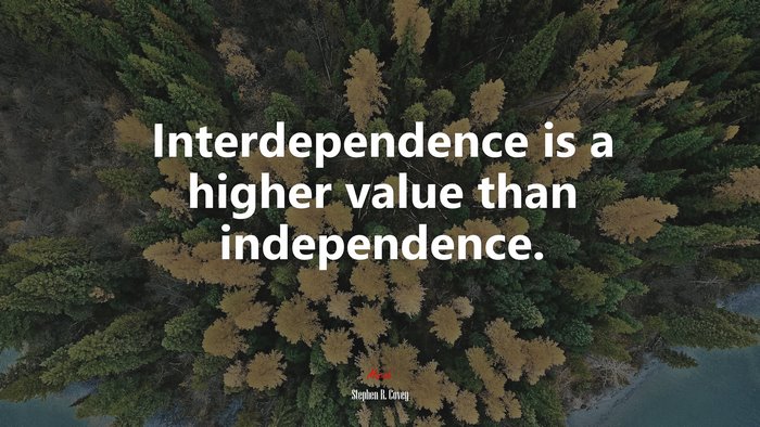 Interdependence is a higher value than independence. | Stephen R. Covey quote