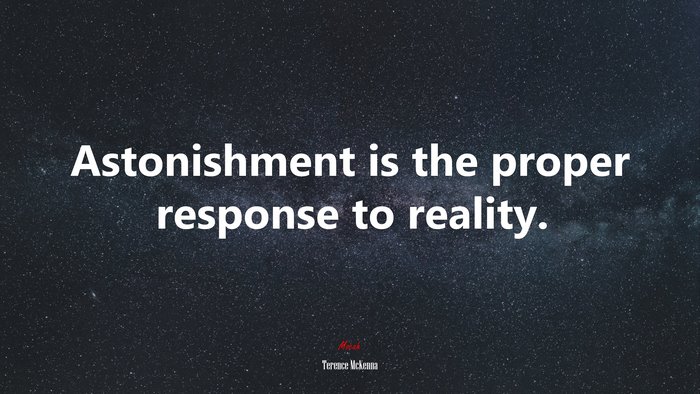 Astonishment is the proper response to reality. | Terence McKenna quote