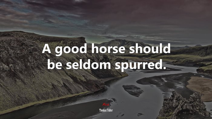 A good horse should be seldom spurred. | Thomas Fuller quote