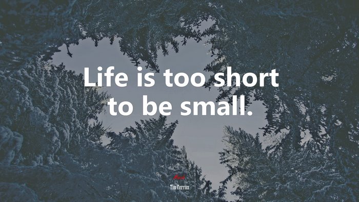 Life is too short to be small. | Tim Ferriss quote