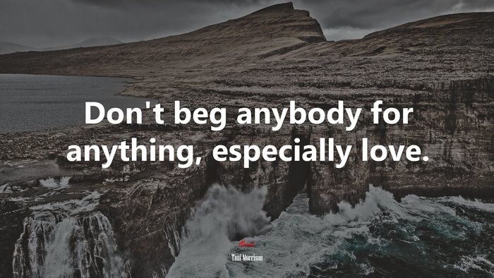 Don’t beg anybody for anything, especially love. | Toni Morrison quote