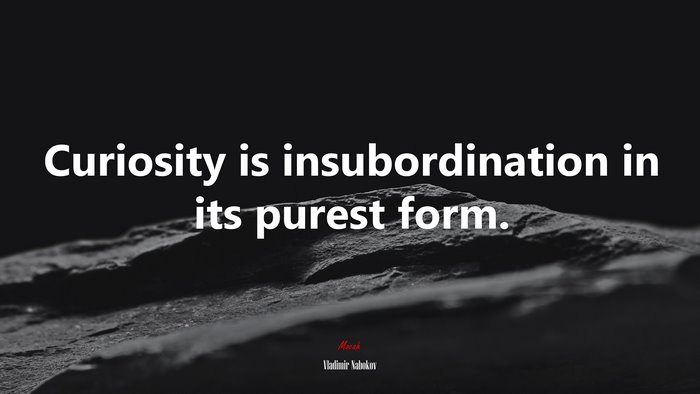 Curiosity is insubordination in its purest form. | Vladimir Nabokov quote