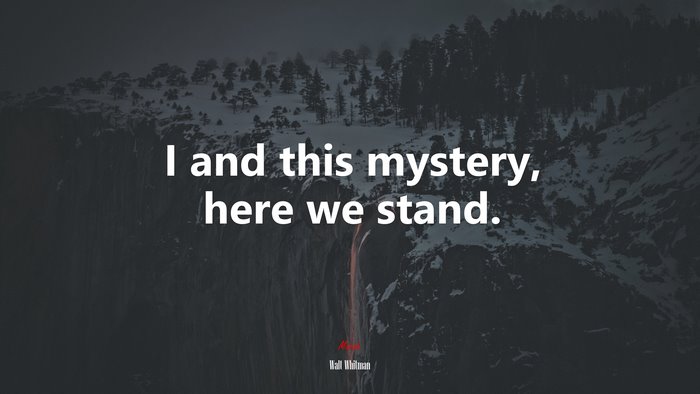 I and this mystery, here we stand. | Walt Whitman quote