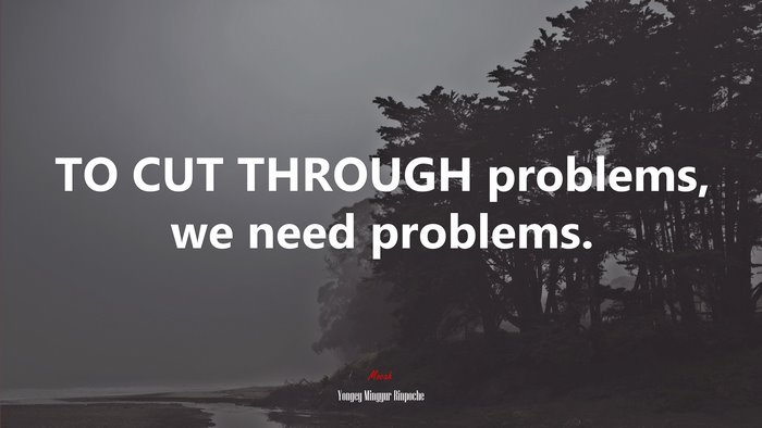 TO CUT THROUGH problems, we need problems. | Yongey Mingyur Rinpoche quote