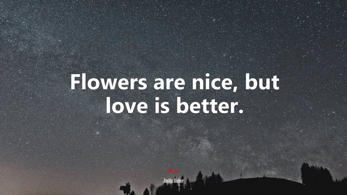 Flowers are nice, but love is better. | Justin Bieber quote