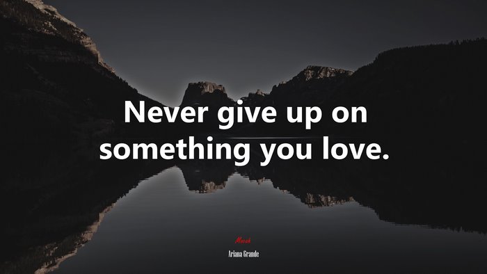 Never give up on something you love. | Ariana Grande quote