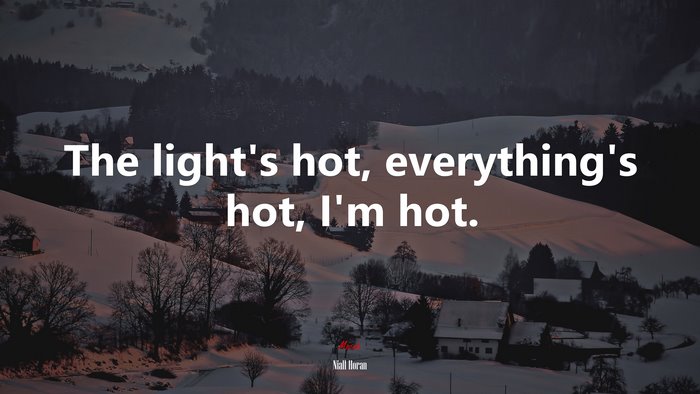 The light’s hot, everything’s hot, I’m hot. | Niall Horan quote
