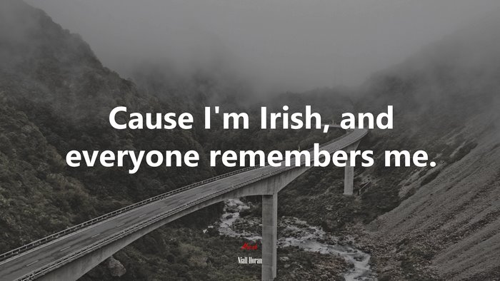 Cause I’m Irish, and everyone remembers me. | Niall Horan quote