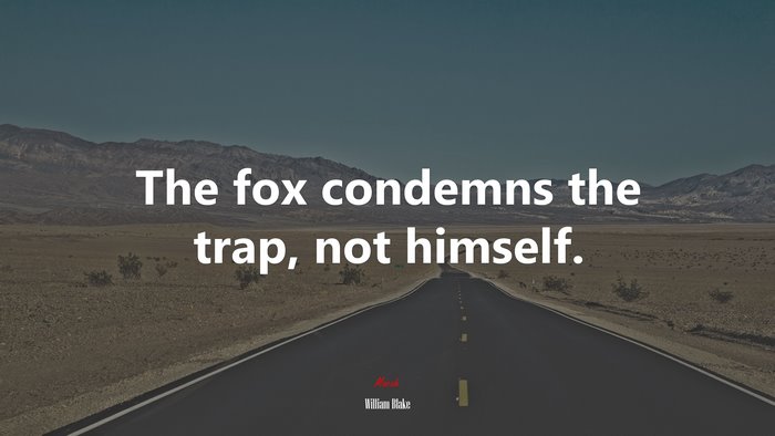 The fox condemns the trap, not himself. | William Blake quote