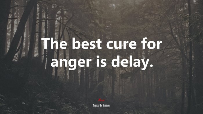 The best cure for anger is delay. | Seneca the Younger quote