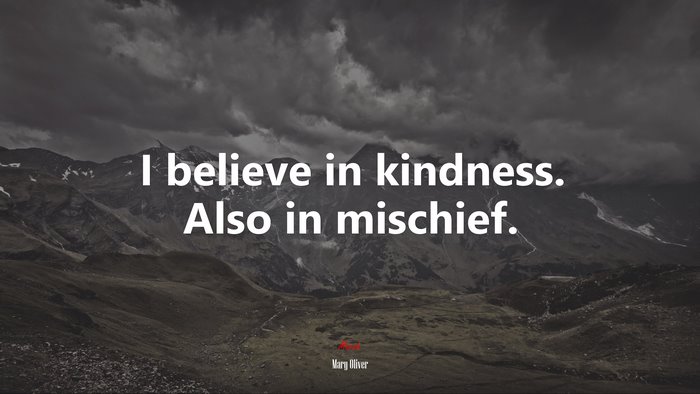 I believe in kindness. Also in mischief. | Mary Oliver quote