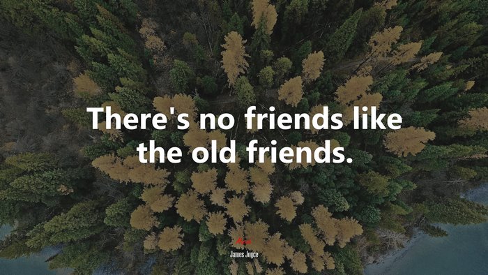 There’s no friends like the old friends. | James Joyce quote