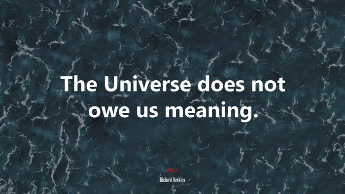 The Universe does not owe us meaning. | Richard Dawkins quote
