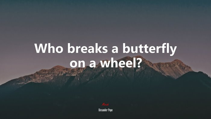 Who breaks a butterfly on a wheel? | Alexander Pope quote