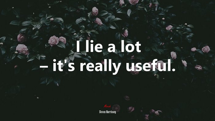 I lie a lot – it’s really useful. | Steven Morrissey quote