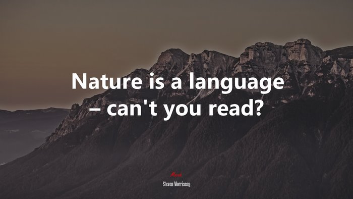 Nature is a language – can’t you read? | Steven Morrissey quote