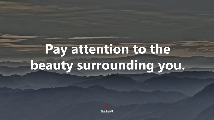 Pay attention to the beauty surrounding you. | Anne Lamott quote