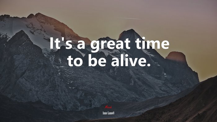 It’s a great time to be alive. | Anne Lamott quote