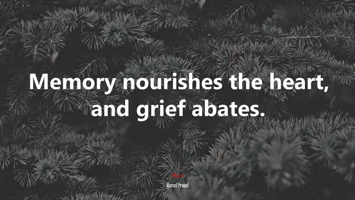 Memory nourishes the heart, and grief abates. | Marcel Proust quote