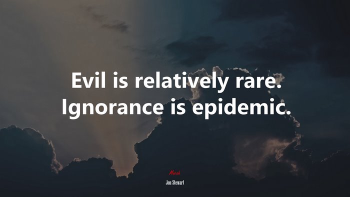 Evil is relatively rare. Ignorance is epidemic. | Jon Stewart quote