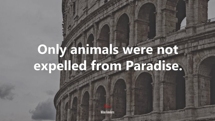 Milan Kundera Quote with Ancient Roman Colosseum