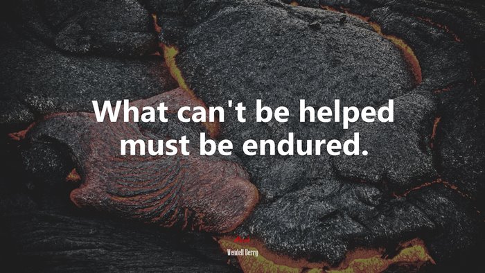 What can’t be helped must be endured. | Wendell Berry quote