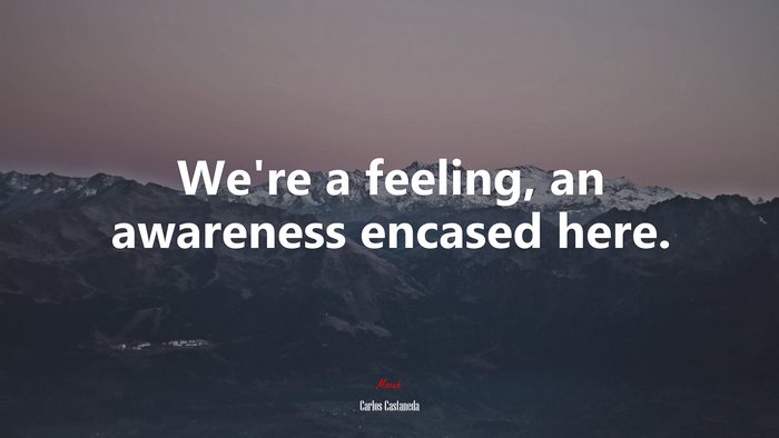 We’re a feeling, an awareness encased here. | Carlos Castaneda quote