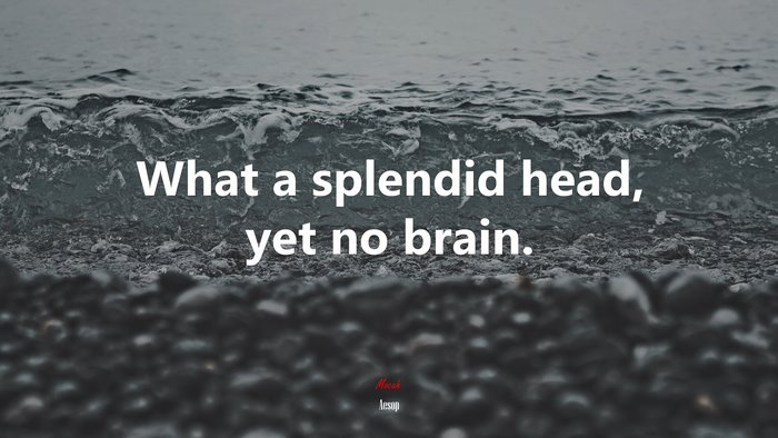 What a splendid head, yet no brain. | Aesop quote