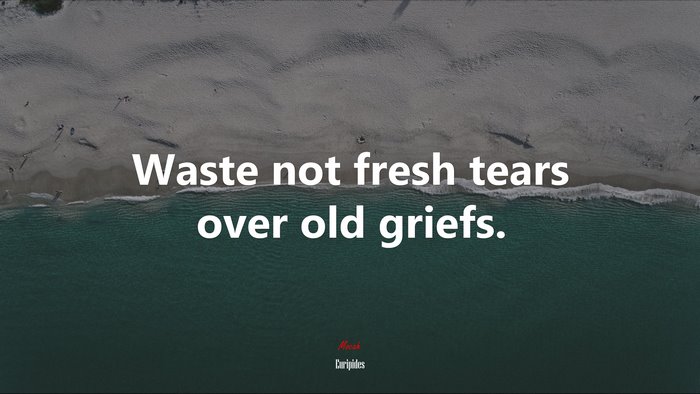 Waste not fresh tears over old griefs. | Euripides quote