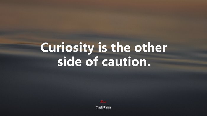 Curiosity is the other side of caution. | Temple Grandin quote